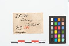 Etikett zu Bronzescheibenring (NHMW-PRAE-025360)